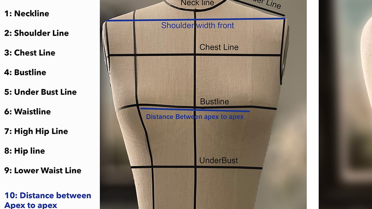 Dress Form Horizontal Measurements Reference PDF